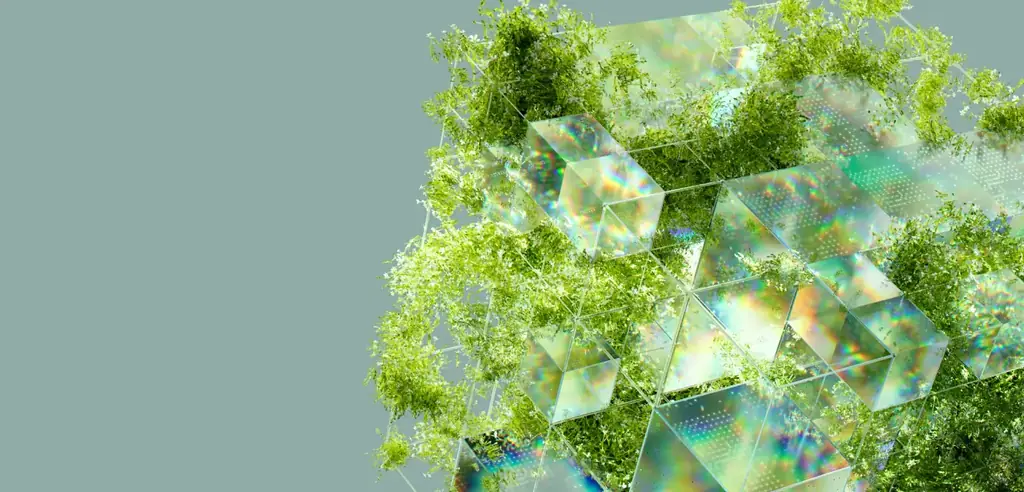 Dataprotectionconsultancyukprivacycompliance westbrook data protection services limited Green plants weaving through iridescent glass cubes on a muted teal background.